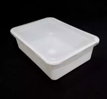 White Rectangular Plastic Container With Lid | 250 GRAM