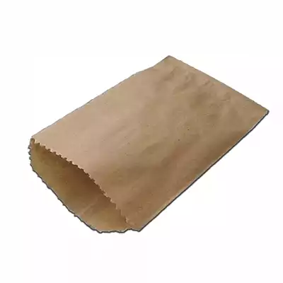Brown Kraft Paper Bag | Flat | L-24 CM X W-21 CM