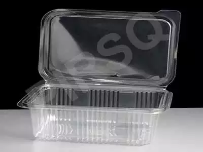 Transparent Plastic Hinged Container With Lid | Rectangular | 1500 ML