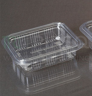 Hinged Container With Lid | Oracle | 250 ML Image