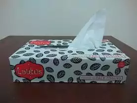 Face Tissue | 50 Pulls 