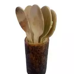 Areca leaf Spoon