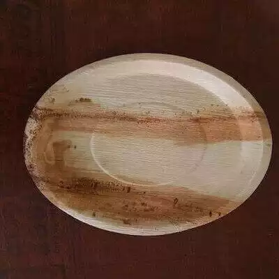 Areca Leaf Round Plate | 10 inch
