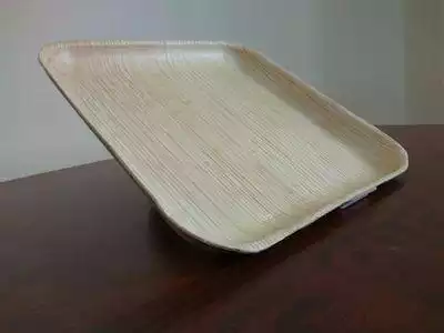 Areca Leaf Square Plate | 10 inch