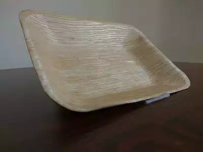 Areca Leaf Rectangle Plate | 6 x 4 inch