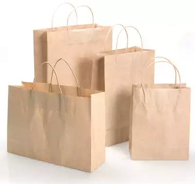 Paper Carry Bags |  W-6.5" x H-9" x D-3"