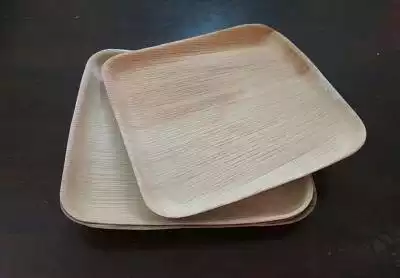 Areca Leaf Square Plate | 10 Inch