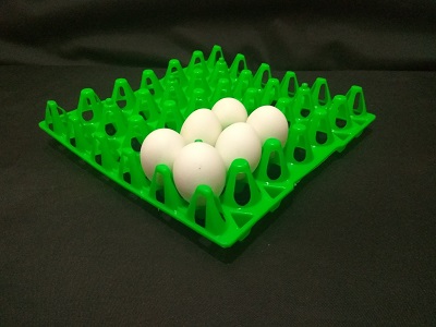 Egg Tray Image