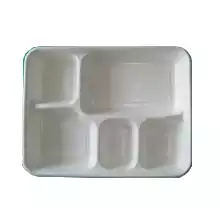 Bagasse Square Plate | 5 Compartment | 10 Inch