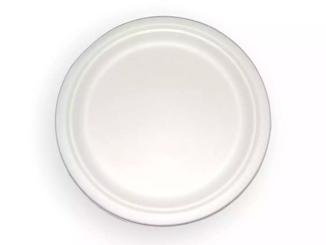 Bagasse Round Plate | 10 Inch