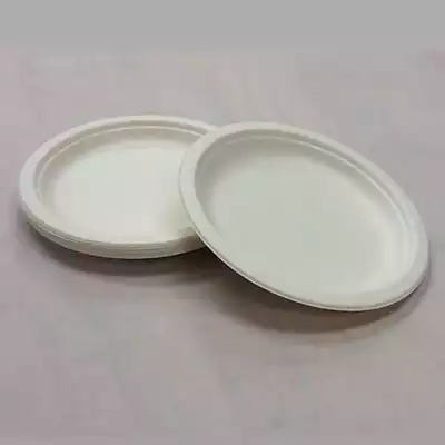 Bagasse Round Plate | 6 Inch