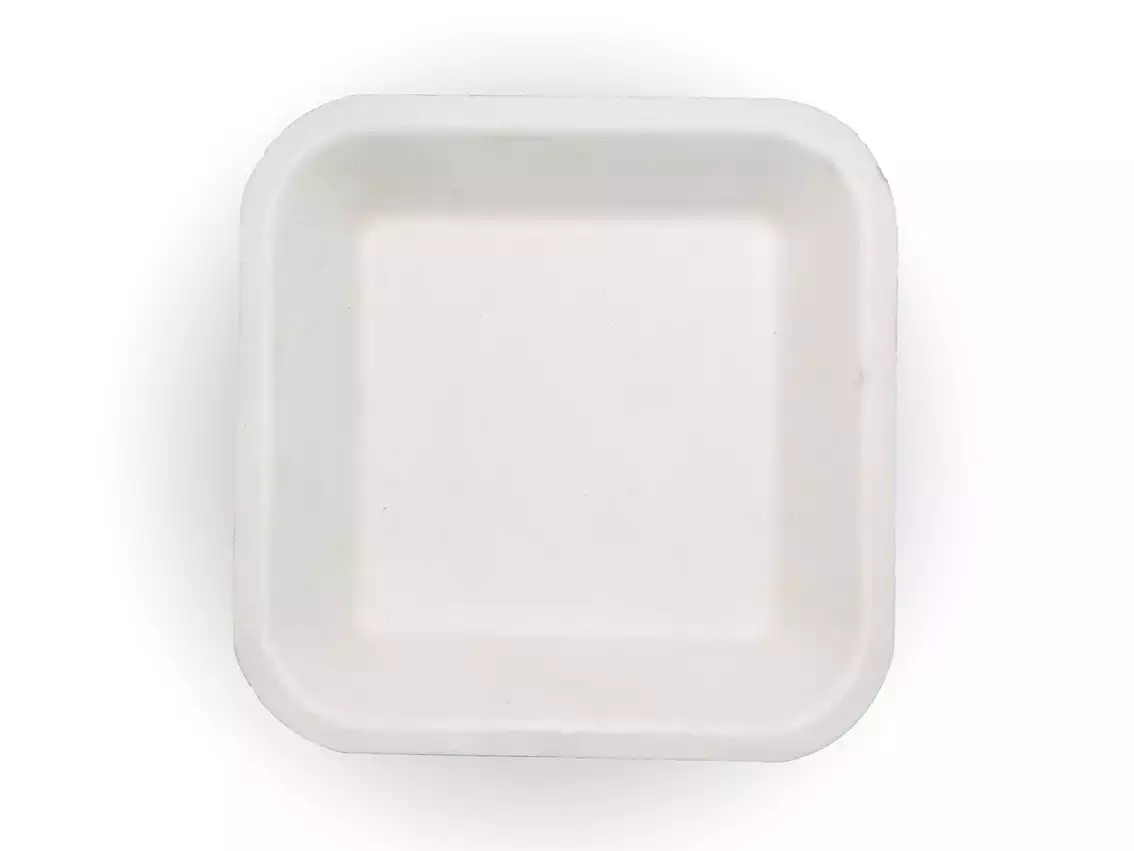Bagasse Square Plate | 5 1/2 Inch