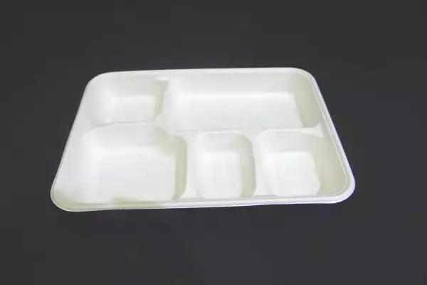  Bagasse Meal Tray With 5 Compartment 
