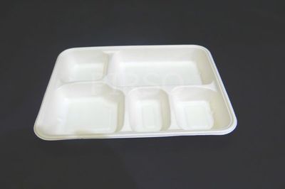 Bagasse Meal Tray With 5 Compartment Image