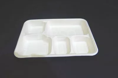 Bagasse Meal Tray With 5 Compartment