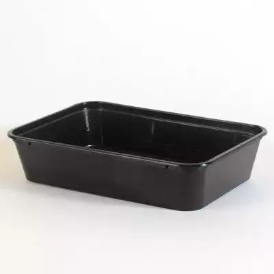 Pasta Container With Lid | 650 ML