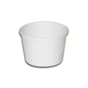 Paper Container with Plastic Lid | 110 ML