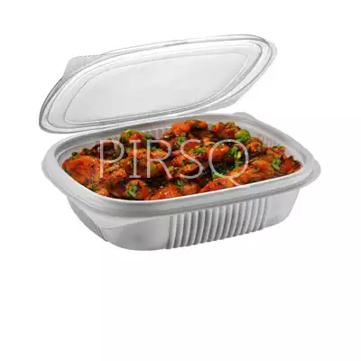 White Color Plastic Container With Lid | Hinged | 500 ML