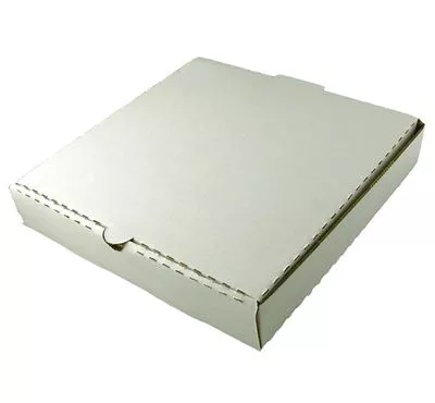 Pizza Box | White Color | 10 INCH