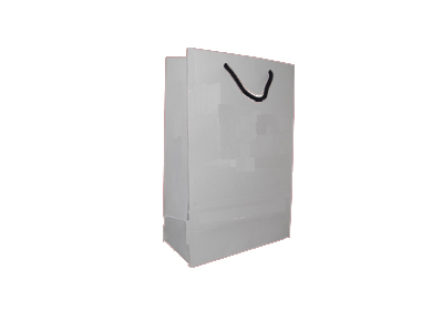 Paper Bag With Handle | With Logo | H - 9" X L - 6" X G - 3" Image