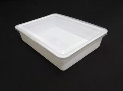 Plastic Sweet Box | 500 GRAM