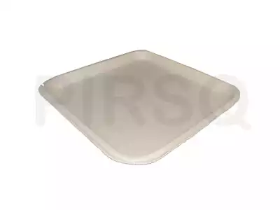 Bagasse Square Plate 10 INCH