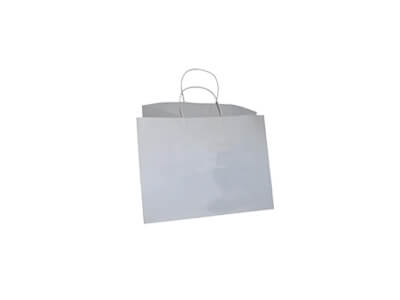 White Paper Bag With Handle | W-15 CM X L-22 CM X H-26 CM Image
