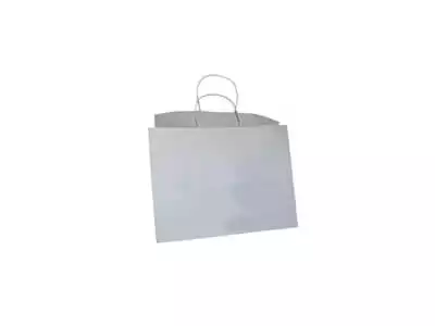 White Paper Bag With Handle | W-15 CM X L-22 CM X H-26 CM