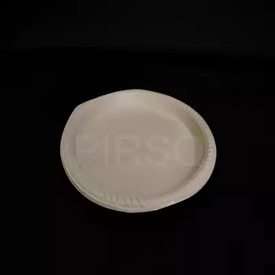 Plastic Plate | Biodegradable | 10 INCH
