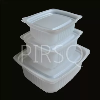Biryani Container With Lid | Deli Tray Hips | 750 ML