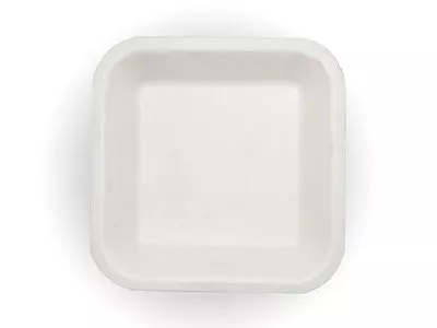 Bagasse Square Plate | 5 1/2 Inch