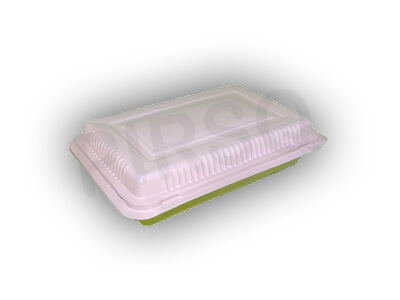 Disposable Container - White Disposable Plastic Food Container 250ML  Manufacturer from Chennai