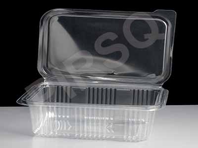 Transparent Plastic Hinged Container With Lid | Rectangular | 600 ML Image
