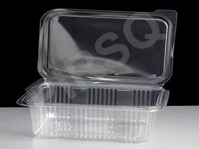 Transparent Plastic Hinged Container With Lid | Rectangular | 600 ML
