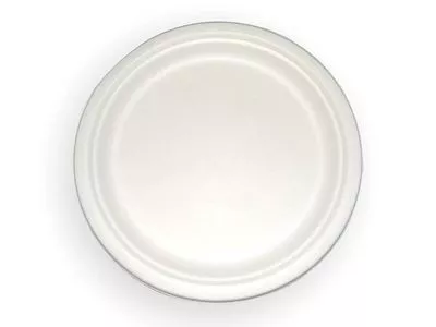 Bagasse Round Plate | 12 Inch