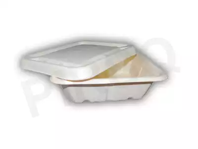 Bagasse Bowl With Lid | 750 ML