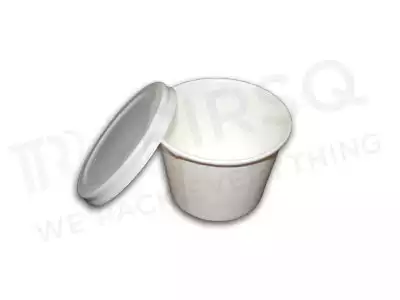 Ice Cream Tub With Plastic Lid | 200 ML