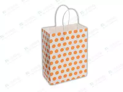 Paper Bag With Handle | Patterned Bag | H-16" X L-12" X W-5"