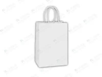 White Paper Bag With Handle | H-16" X L-12" X W-5"