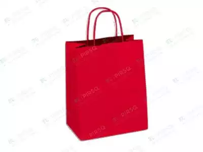 Paper Bag With Handle | Coloured Bag | H-12" X L-9" X W-4"