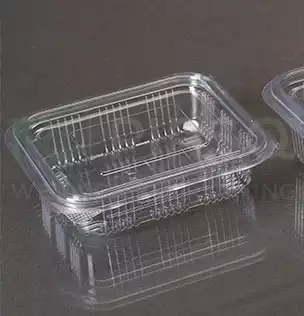 Hinged Container With Lid | Oracle | 250 ML