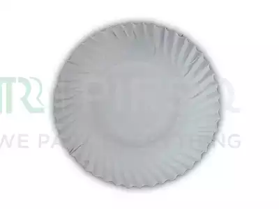Use And Throw Plate | Paper | 9 Inch