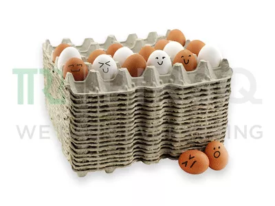 30 Egg packaging Tray | Egg Paper Tray